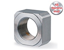 Lock nut-RNSS